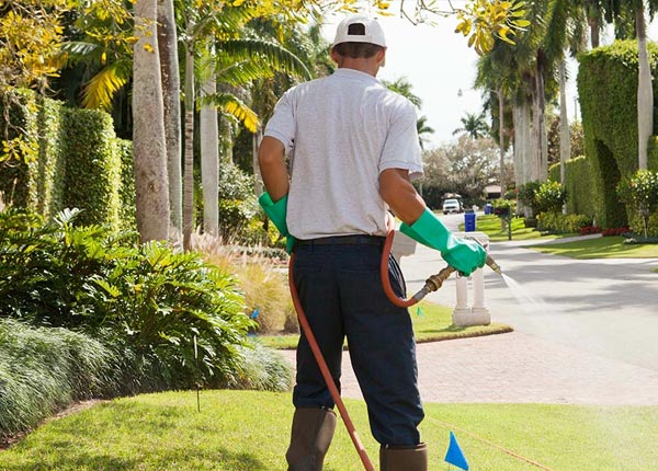 About Milford MA Pest Control Pros